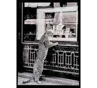 KUSTOM ART Tableau mural ou de table série animaux léopard vitrine bijouterie impression artistique sur bois 30 x 21 cm