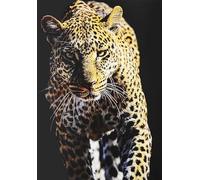 KUSTOM ART Tableau série animaux léopard imprimé sur bois 30 x 21 cm.