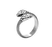 KUTCEK Bague gothique en acier titane double tête de serpent - Design python vintage punk hip hop bijoux cadeau pour homme, 13, Acier titane