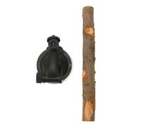 Kuuleyn - perchoir en Bois pour Perroquet, Support interactif pour fenêtre d'oiseau, Anti-Glissement, avec ventouses, pour Oiseaux de Petite et Moyenne Taille (15CM)
