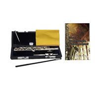 KUYNMCS Piccolo 16 Touches en Do, Instrument De Musique Piccolo, Son De Qualité Supérieure Garanti, avec Étui, Tige D'accordage Et Chiffon, for Débutants, Enfants Et Étudiants(Silver)