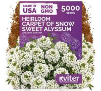 KVITER Lot de 5000 graines d'alyssum douces (Lobularia Maritima) - Paquet de graines d'alyssum sucrées, couvre-sol blanc parfumé, graines de fleurs longues pour bordures, conteneurs, jardin extérieur