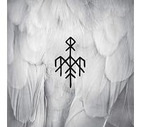 Kvitravn-First Flight of The White Raven