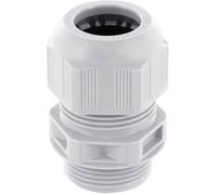 KVM16GR Presse-étoupe vissable M16 x 1.5 M16 x 1.5 Polyamide gris