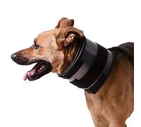 KVP - Collier Bite gratuit