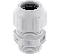 KVS2GR Presse-étoupe vissable M16 x 1.5 M16 x 1.5 Polyamide gris