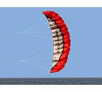 Kwasyo 2.5m Deux Ligne Parapente Cerf-Volant avec Manette 30m,Cerf-Volant pour Le Sport en Plage,Jeux de Plein air dans Le Jardin