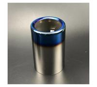 KWAYA Tuyau D'échappement Silencieux D'échappement Arrière pour F30 F35 118d 320i 320 316i 328i 2012-2018 Embout Silencieux(Blue 1pc)