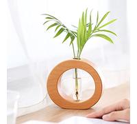 KWQBHW Vase tube à essai avec support en bois, 1 pot de fleurs en verre transparent, vase en verre pour plantes de bureau, décoration d'intérieur