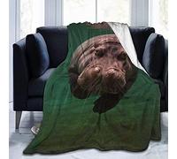 KWQDOZF Couverture de microvillosités de plongée Hippopotame Couverture de plongée imprimé Hippopotame Super Douce légère et Chaude en Microfibre pour lit canapé Salon Quatre Saisons