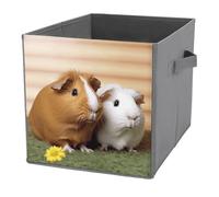 KWQDOZF Cubes de rangement pliables avec poignées, motif cochon d'Inde mignon, 2 bacs à cubes pour ranger vêtements, livres et autres articles - Paniers de rangement pour étagères et placards