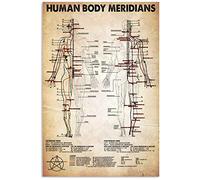 KWQDOZF Plaque métallique vintage représentant les méridiens du corps humain, décoration de bureau, affiche en étain, décoration murale pour la maison, la chambre, l'hôpital, 30,5 x 45,7 cm