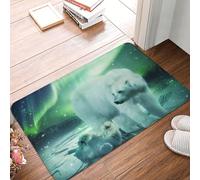 KWQDOZF Tapis d'intérieur et extérieur Northern Lights Polar Bear, Tapis de Bienvenue 40 x 60 cm