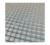 KXAOXGRC Grille de Barbecue en Acier Inoxydable, 1 Grille en Acier Inoxydable 304(50x25cm)