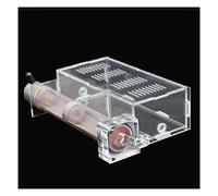 KXCR Fourmilière Acryl Insect Terrarium Fourmis Domestiques (Color : B)