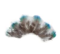 KXJSYL Tool Lot de 30 Plumes de Paon dorées, Vertes et Bleues for la Fabrication de Bijoux, décoration de fête à Domicile(Peacock Feathers)