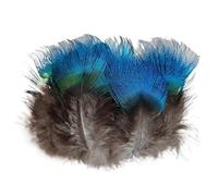 KXJSYL Tool Lot de 30 Plumes de Paon dorées, Vertes et Bleues for la Fabrication de Bijoux, décoration de fête à Domicile(Blue Feather)
