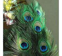 KXJSYL Tool Plumes de Paon Naturelles à Grands Yeux, 60-70 cm, 50/100 pièces, for vases, Artisanat, Bijoux, Accessoires, décoration de fête à Domicile(100 PCS)