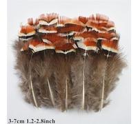 KXJSYL Tool Plumes de Paon Naturelles, Plumes de Faisan for l'artisanat, Plumes d'autruche for la Fabrication de Bijoux, Accessoires de Carnaval, décoration(Black,20 Piece)