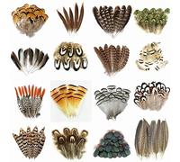 KXJSYL Tool Plumes de Paon Naturelles, Plumes de Faisan for l'artisanat, Plumes d'autruche for la Fabrication de Bijoux, Accessoires de Carnaval, décoration(Coffee,50 Piece)