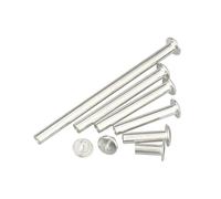 KXJSYL Tool Vis d'album nickelées/Laiton, Ceinture en Cuir, Portefeuille, Album Photo, Album de Scrapbooking, Livre de comptes, Poteau, Rivets de Reliure à vis Chicago(Nickel Plated,5x6mm 25pcs)