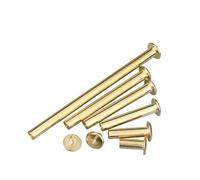 KXJSYL Tool Vis d'album nickelées/Laiton, Ceinture en Cuir, Portefeuille, Album Photo, Album de Scrapbooking, Livre de comptes, Poteau, Rivets de Reliure à vis Chicago(Brass Plated,5x25mm 10pcs)