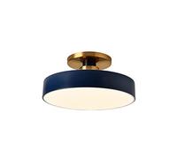 KXKLGWHN Plafonnier Rond Nordique en Fer forgé, plafonnier intégré à LED, Panneau Lumineux à Gradation Tricolore, Abat-Jour en Acrylique, éclairage décoratif pour Porche de Chambre