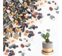 KXVXXV Petits galets décoratifs multicolores pour vases - 900 g (6-15 mm) - Petits galets décoratifs pour aquarium - Pierres décoratives d'intérieur pour pot de fleurs