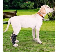 KXWDKJ 1 paire d'attelles de jambe pour chiens, dos, jambe, hanche, dysplasie pour ligament croisé, blessure ou récupération (taille XL)