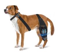 KXWDKJ Attelle pour chien Acl Tear Back Leg Support pour le dos et la jambe pour aider à la rééducation et à la récupération post-opératoire (M)