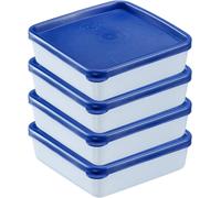 Kyaoayo-4 Boîtes De Congélation/ Conservation, Couvercle Incl., Volume 0,25 L Chacune, Empilable, Plastique, Trio, Couleur Transparent/Bleu, 25042270