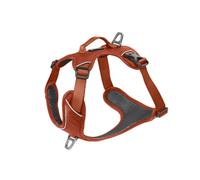 KYFLIE-Harnais Momentum Taille 4 Circonférence cage thoracique 65-82cm Cuivre