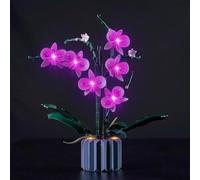 Kyglaring Kit d'éclairage LED pour icônes Orchidée artificielle avec fleurs, l'ensemble d'éclairage conçu pour 10311 Fleur de bouquet ; cadeaux de la collection botanique (RC)