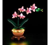 Kyglaring LED Lumière pour Lego 10343 The Botanical Collection L’orchidée Miniature Modèle de Blocs de Construction, Accessoires d'éclairage LED pour modèle 10343 (Sans Modèle)