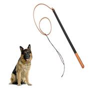 Kylewo Fouet en Cuir pour Chien pour Chien Dressage, Professionnel de l'exercice
