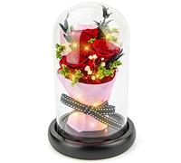 Kylin Glory Fleurs conservées, Cadeaux avec des lumières d'ambiance LED Rouge