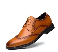 KYOESCAI Chaussure Derbys Homme Ville Habillées Formelles Affaires à Lacets Oxford pour Hommes Costume Mariage,Marron,43 EU