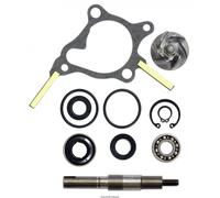 Kyoto - Kit Pompe À Eau Honda Foresight 250
