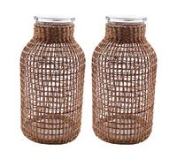 Kznifmk 2X Vase à Fleurs en Verre de Paille Pot de Fleurs Japonais dans Le Panier de Fleurs Créatif Contracté Nordique pour Arroser Les Plantes -L