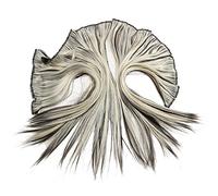 Kznifmk Clip épais de luxe et standard dans les extensions Pleine couleur de la tête: 8/613 - Brun clair/Bleach Blond Longueur: 16 pouces