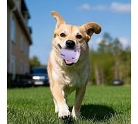 KzQ835 Jouet puzzle en caoutchouc robuste avec distributeur de tennis et jeu interactif à mâcher pour chiens de taille moyenne et grande (B, 9,7 cm)