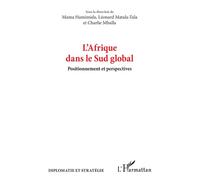 L’Afrique dans le Sud global: Positionnement et perspectives