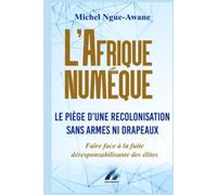 L’Afrique Numérique : Le Piège d’une Recolonisation sans Armes ni Drapeaux: Face à la fuite déresponsabilisante des élites !