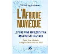 L’Afrique Numérique : Le Piège d’une Recolonisation sans Armes ni Drapeaux: Face à la fuite déresponsabilisante des élites !
