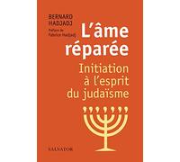 L´âme réparée. Initiation à l'esprit du judaïsme