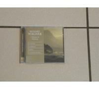 L Anneau Du Nibelung