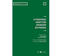 l atteinte a la marque renommee