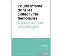 L’audit interne dans les collectivités territoriales - Enjeux, acteurs et stratégies - Raphaël Brun - Territorial - broché - Etude