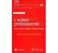 L'auteur professionnel : Entre droit d'auteur et droit social