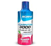 L Carnitine 3000 - L Carnitine Liquide - LCarnitine - Carnitine Pure - 500 ml (Cerise)